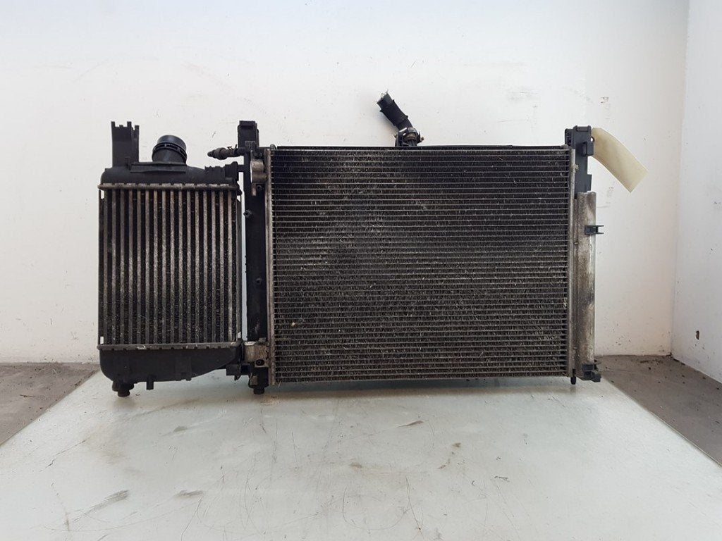 RADIATEUR COMPLEET Dacia Lodgy (JS / SD0J) (01-2012/-), Dacia, Dhr. J. Ham, Gebruikt, Administratie@autoham.nl