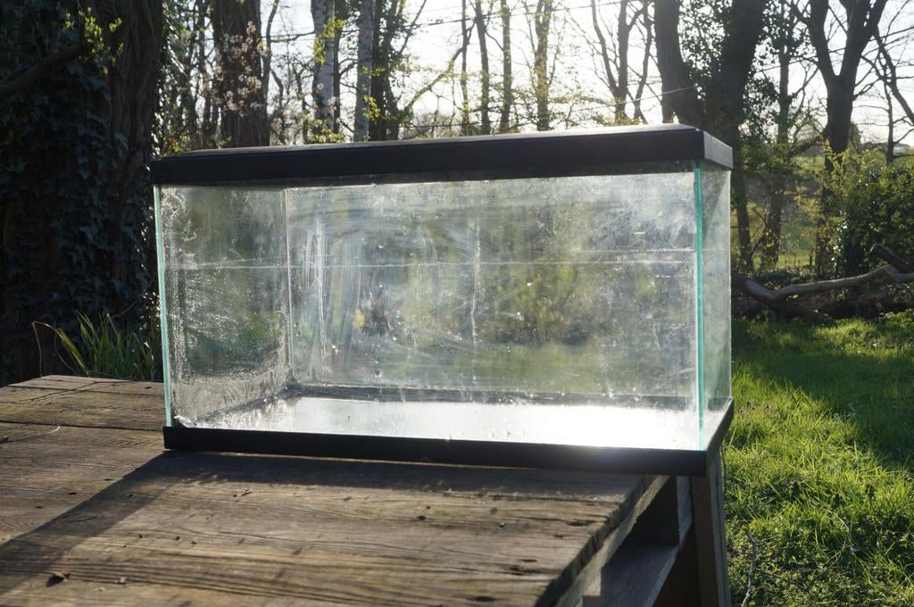 Aquarium, Dieren en Toebehoren, Ophalen