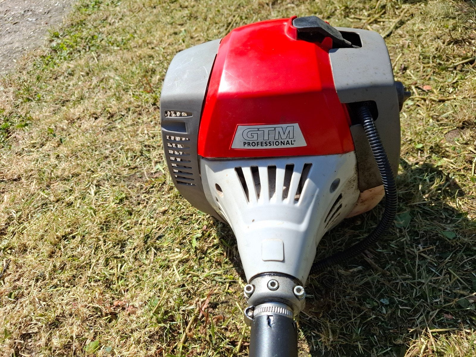 Bosmaaier, Tuin en Terras, Bosmaaiers, Ophalen