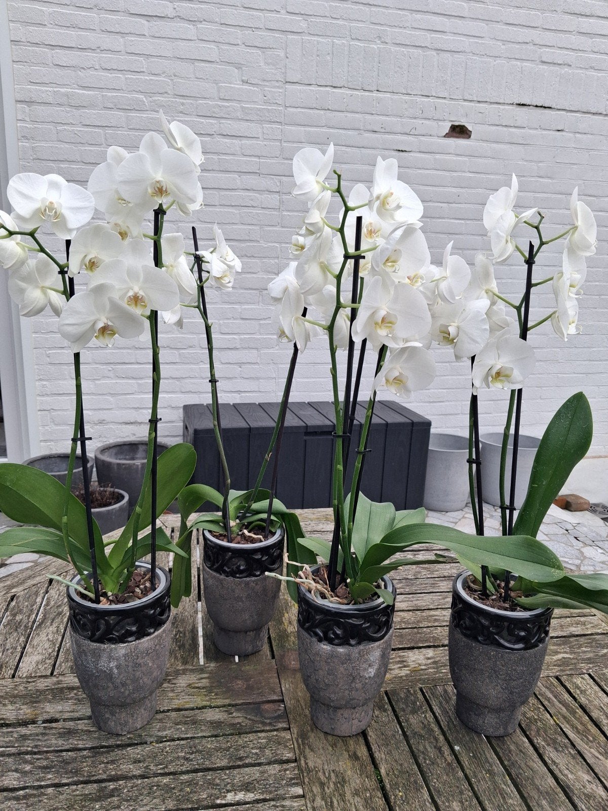 Bloempot, Ophalen