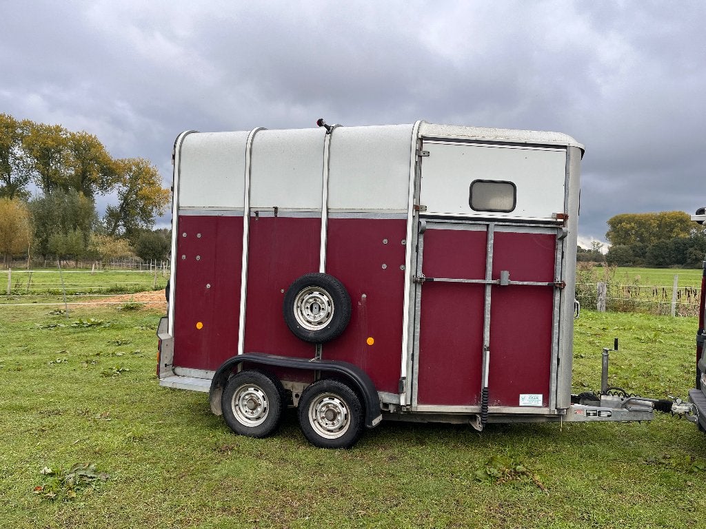 Trailer IforWilliams HB 510R, Dieren en Toebehoren, Ophalen, Gebruikt, Hout, 2-paards trailer
