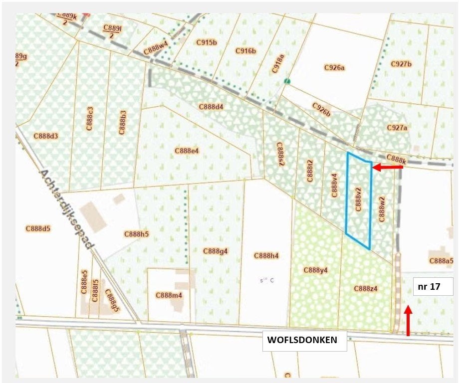 Bosgrond te BALEN / Wolfsdonken, Immo, Terrains & Terrains à bâtir, 1000 à 1500 m²