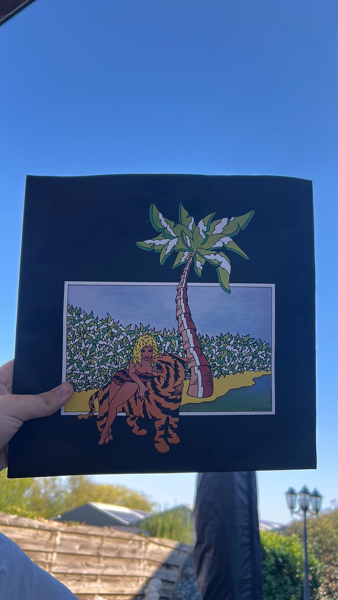 Lp vinyl, Antiek en Kunst, Ophalen of Verzenden