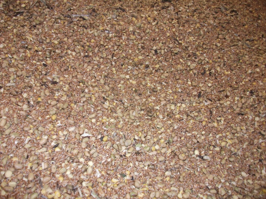 Foin et céréales bio, Articles professionnels, Agriculture | Aliments pour bétail, Enlèvement