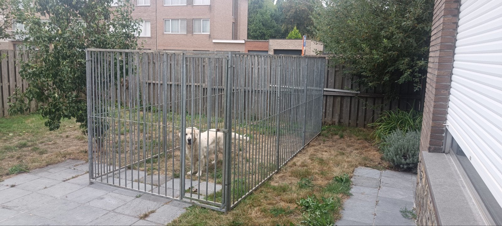 Hondenren(10m²), Animaux & Accessoires, Enlèvement, Utilisé, Chenil chien