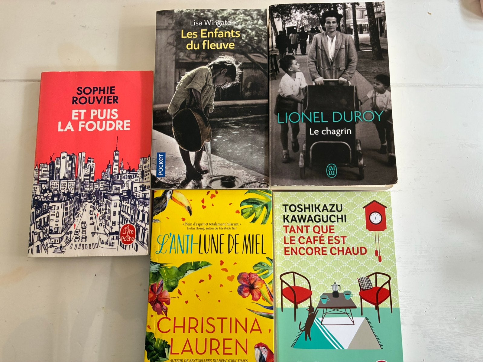 Lot 5 livres bon état, Livres, Romans, Enlèvement, Utilisé