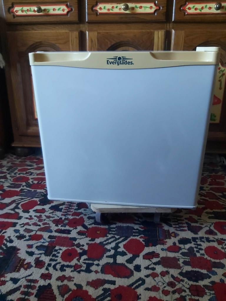 Mini  diepvries 33l  A label voor caravan of kleine plaatsen, Elektronische apparatuur, Vriezers en Diepvrieskisten, Ophalen