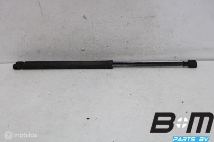 Set gasdrukveren VW New Beetle 1C 1C0827550A, Utilisé