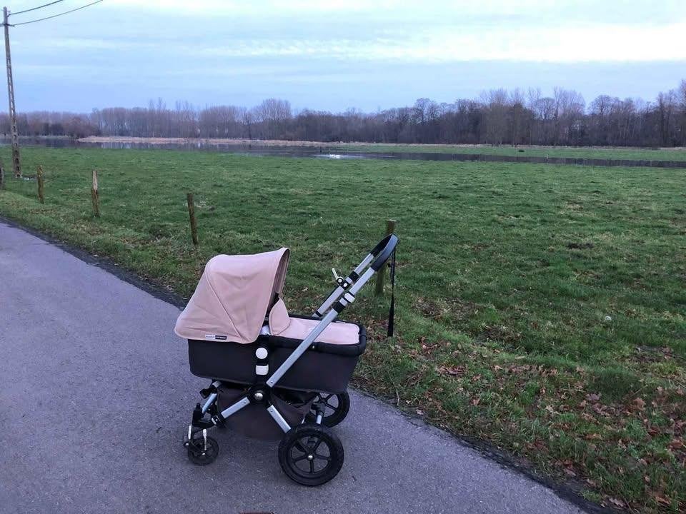 Bugaboo camelon, Kinderen en Baby's, Ophalen, Gebruikt, Overige merken, Regenhoes