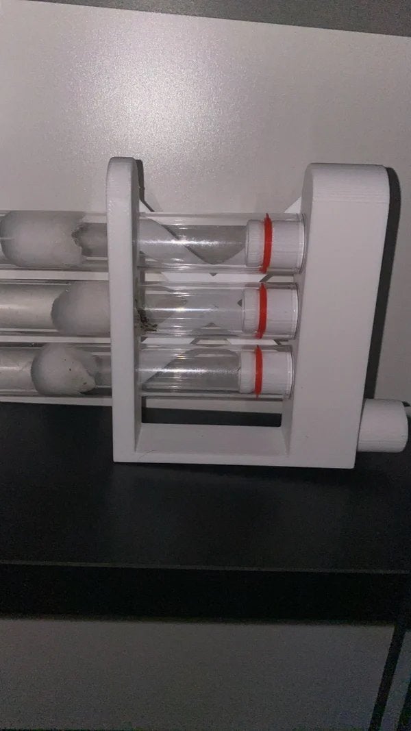 Klein reageerbuis nest mieren, Mieren