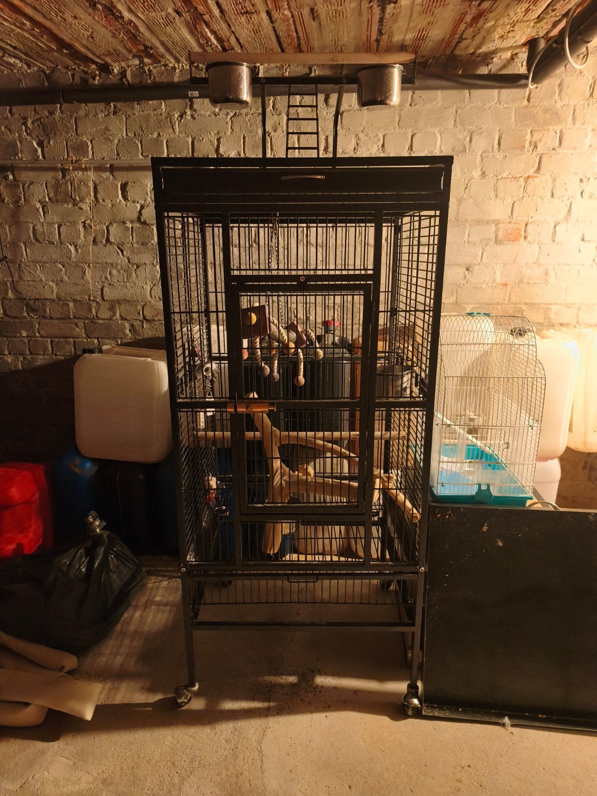 cage perroquet, Envoi