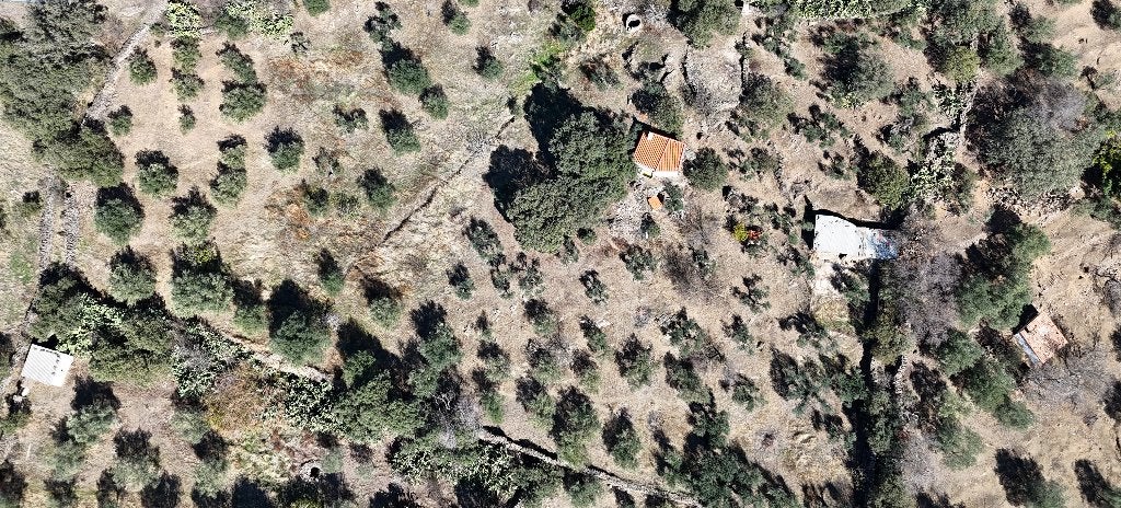 Oliveraie /17 500 €/10 « Trujillo/Estrémadure/Espagne, Immo, 40 m², Campagne, 1 pièces, Autres types