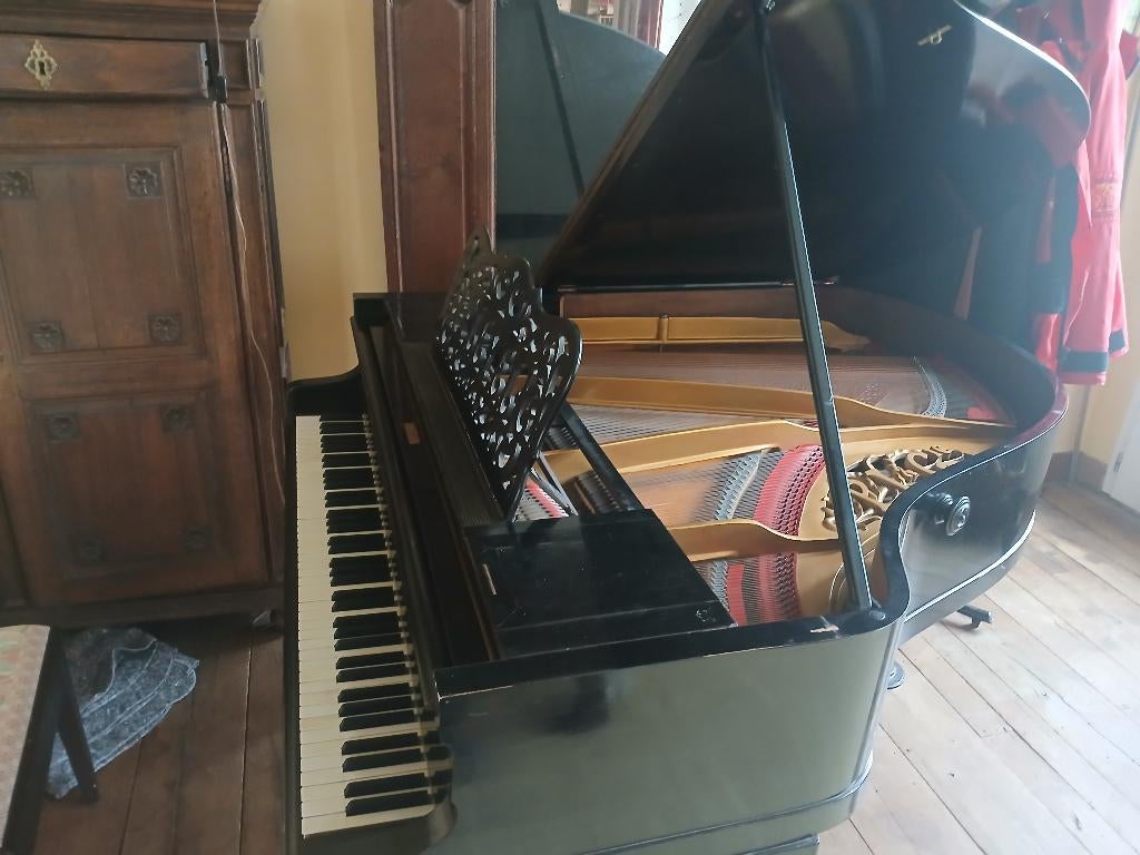 Piano à Queue Pleyel 1913, Musique & Instruments, Pianos, Utilisé, À queue, Noir, Brillant, Enlèvement ou Envoi