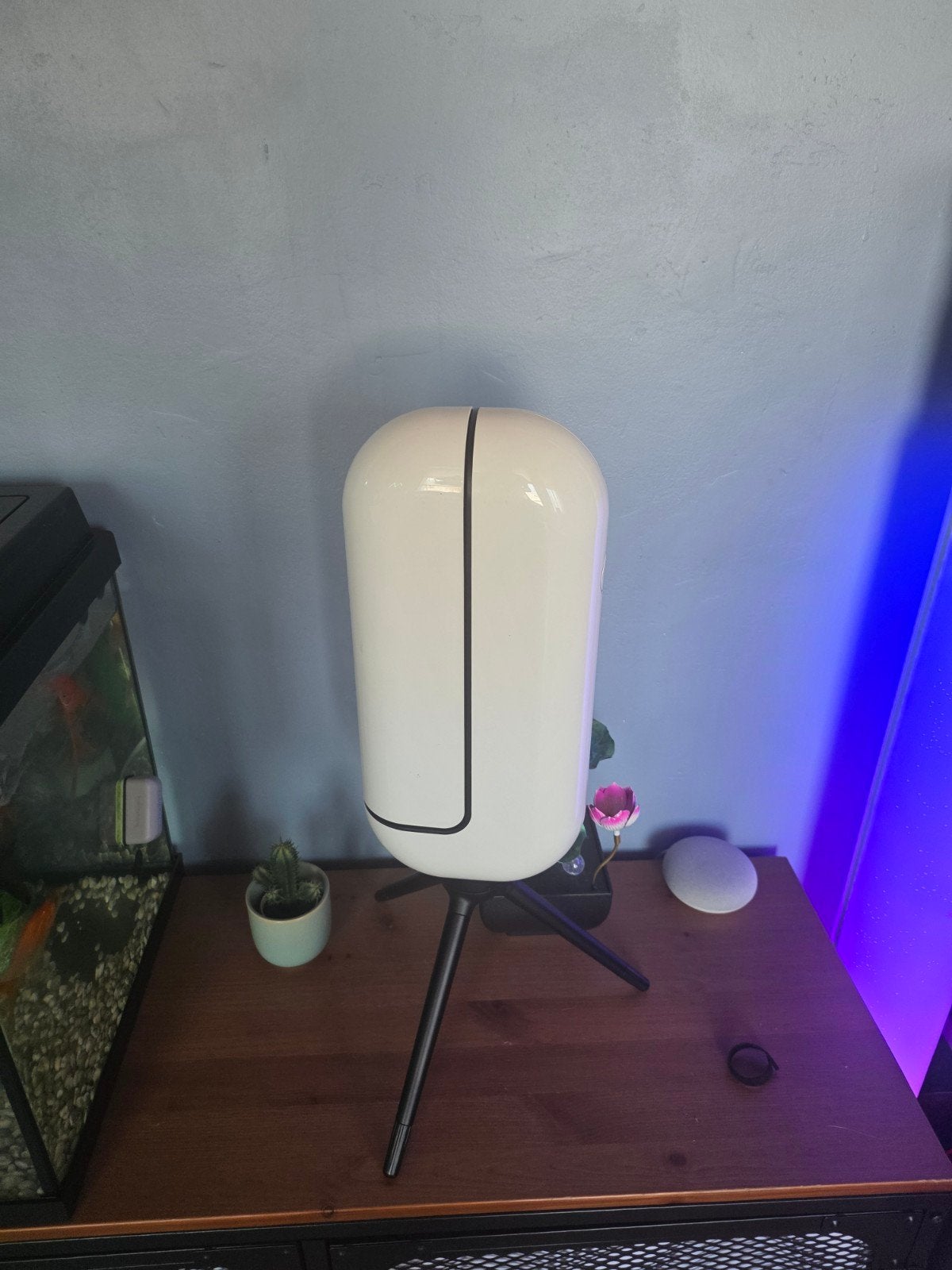 Vaonis vespera 1 smart telescoop, Enlèvement, Utilisé, Avec trépied