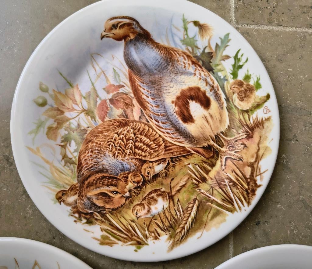 Royal Doulton Sierborden – Vogels – Bone China (Engeland, Ophalen of Verzenden