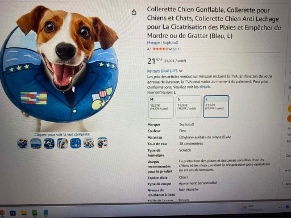 Collerette Chien Anti Lechage gonflable - Taille L, Enlèvement ou Envoi, Comme neuf, X, X