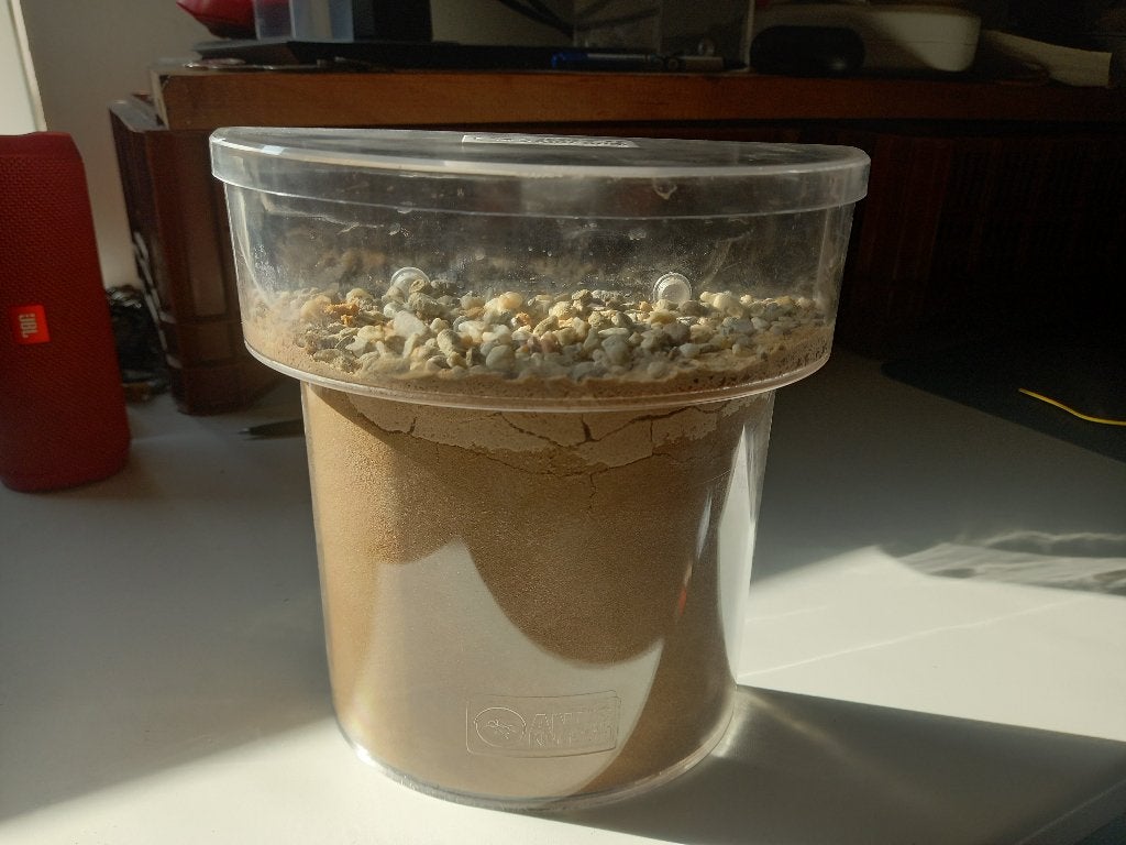 Mieren nest, Dieren en Toebehoren, Mieren