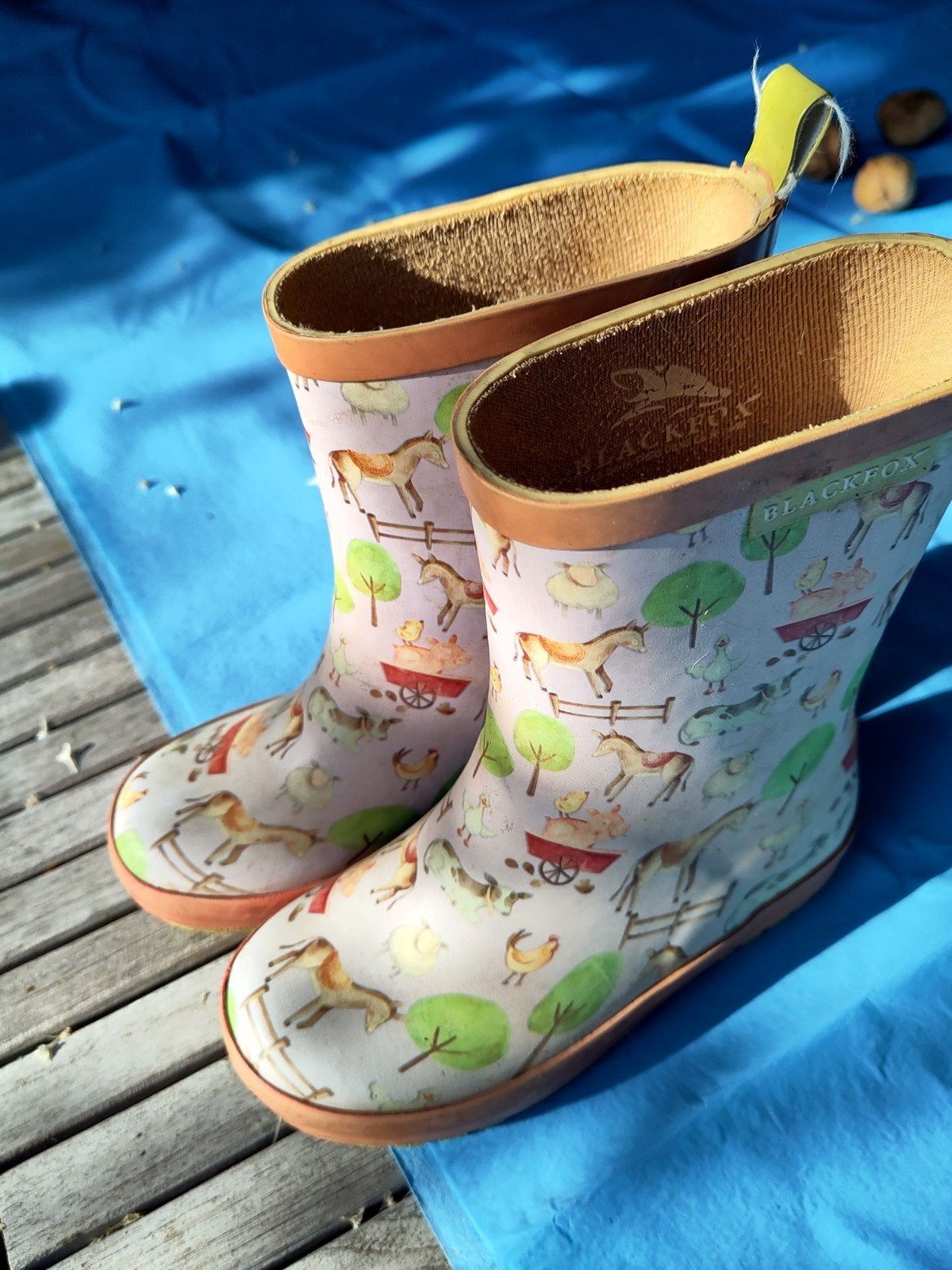 regenlaars, Kinderen en Baby's, Ophalen, Jongen of Meisje, Blackfox, Laarzen