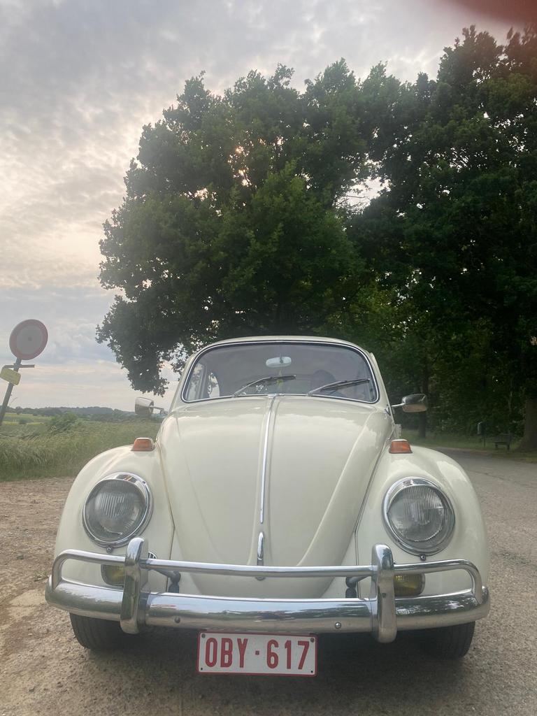 volkswagen kever 1967 1300 cc 78000 km, foto 2