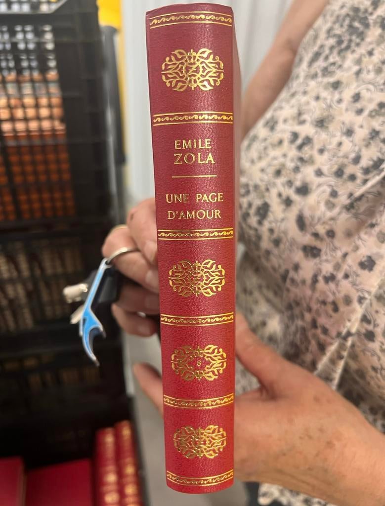 📚 Collection Émile Zola - Les Rougon-Macquart, Boeken, Encyclopedieën, Ophalen of Verzenden, Zo goed als nieuw, Algemeen, Complete serie