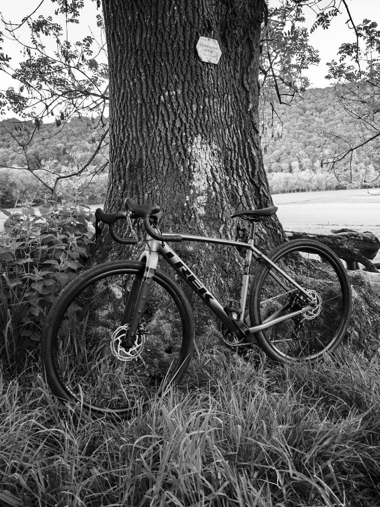 Vélo Gravel Trek ALR 4 Taille 52, Fietsen en Brommers, 10 tot 15 versnellingen, Schijfrem, Ophalen, Overige merken