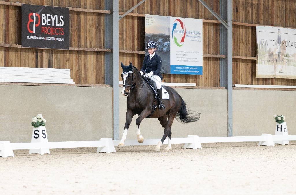 Lesgeefster aangeboden (gratis wedstrijdbegeleiding), Dieren en Toebehoren, Paarden, Niet van toepassing