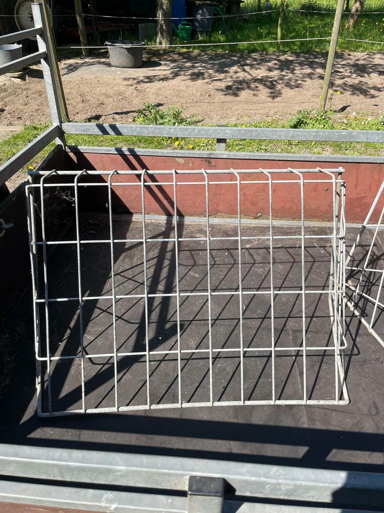 Stal en weidegang