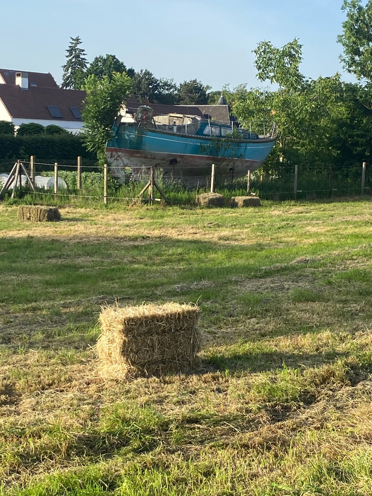 Hooi te koop kleine pakken, Dieren en Toebehoren, Ophalen