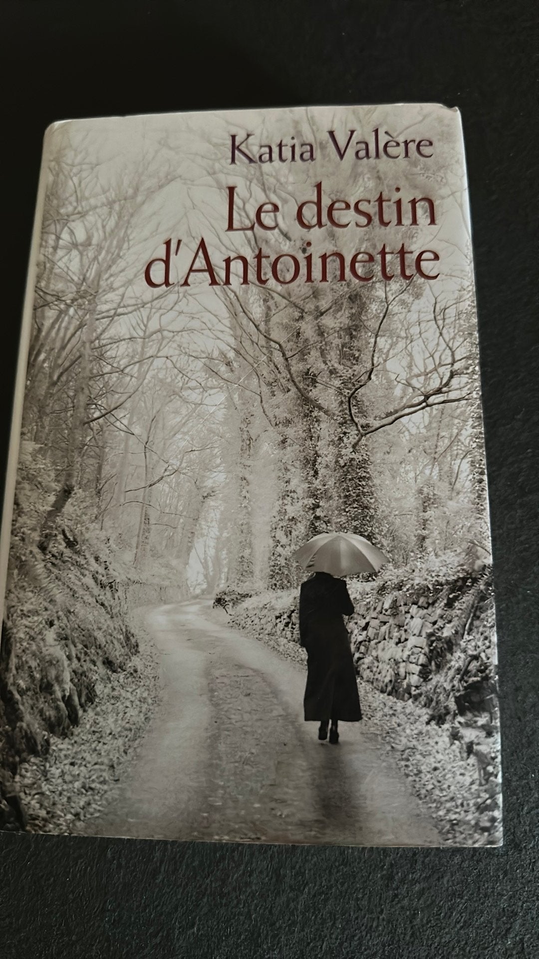 Le destin d’Antoinette de Katia Valere, Livres, Romans, Enlèvement ou Envoi, Comme neuf