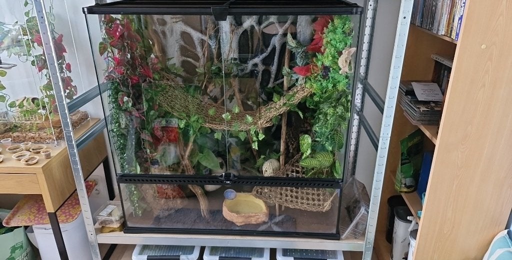 terrarium, Animaux & Accessoires, Enlèvement, Comme neuf, Terrarium ou Paludarium