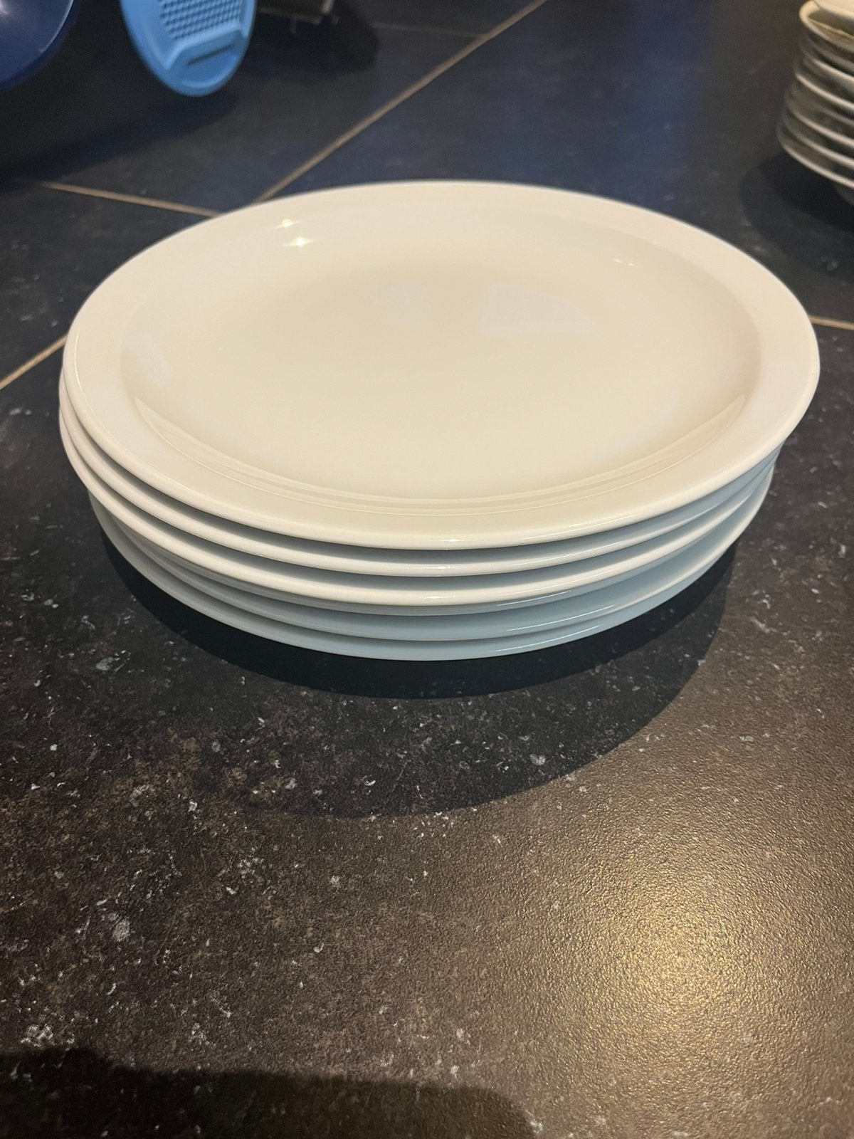 Lot met 6 grote platte borden, Ophalen, Zo goed als nieuw, Bord(en)