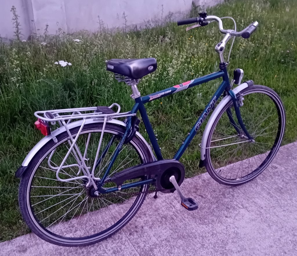 Herenfiets, Fietsen en Brommers, Ophalen, Zo goed als nieuw, Terugtraprem, Giant
