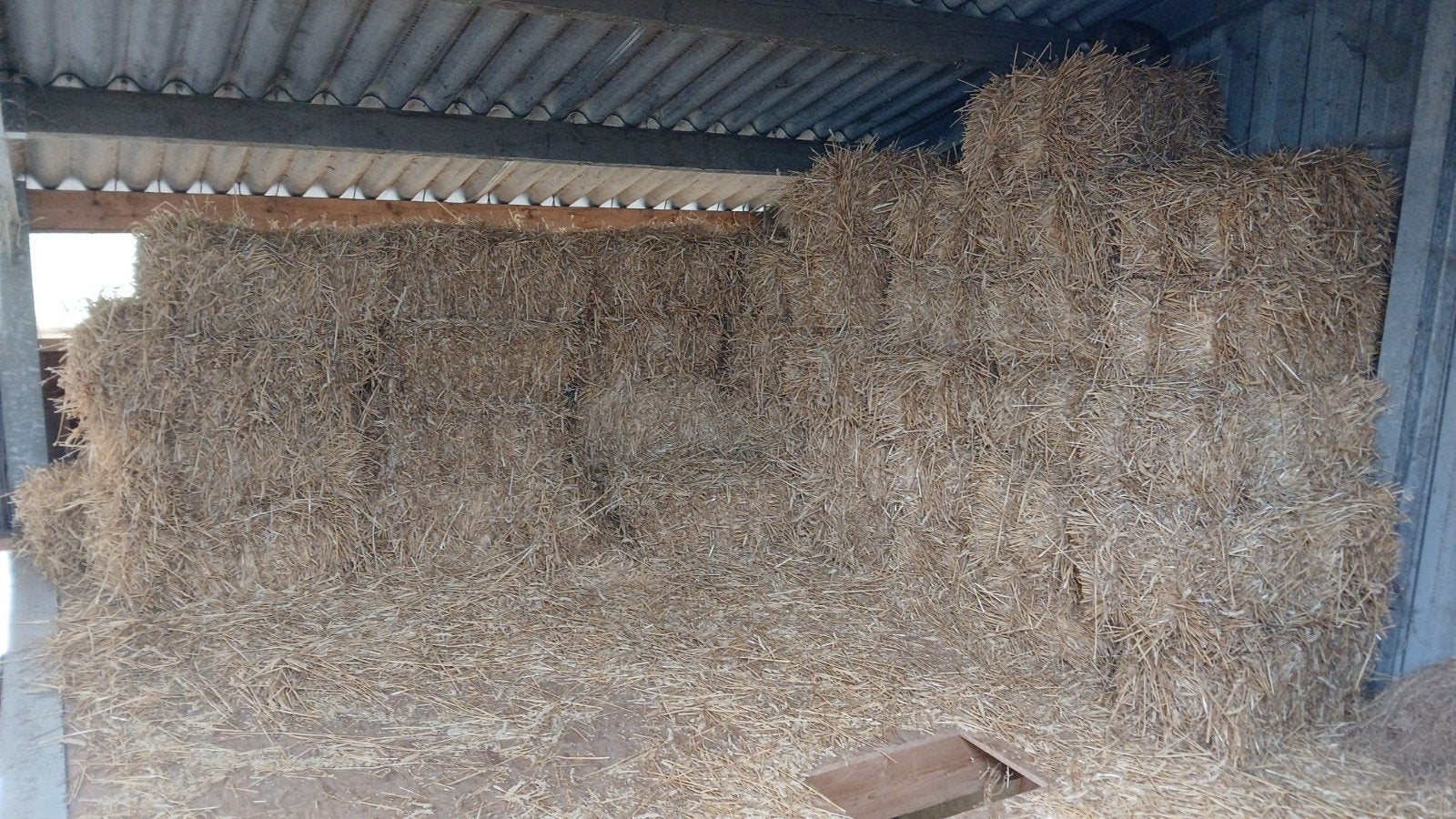 54 kleine balen stro te koop, Ophalen
