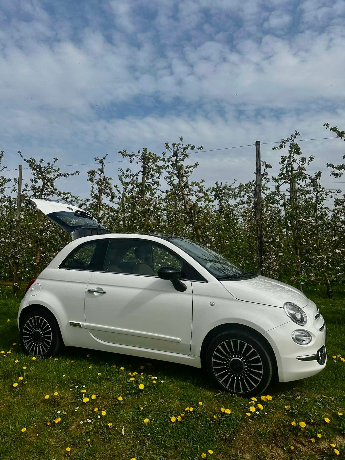 Fiat 500 1.2 lounge 2017 met vele opties, Auto's, Fiat, Particulier, ABS, Airbags, Airconditioning, Apple Carplay, Automatische klimaatregeling