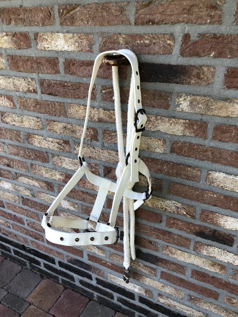 HALSTER MET KOORD, Animaux & Accessoires, Chevaux & Poneys | Brides & Harnachement, Enlèvement, Blanc, Licou