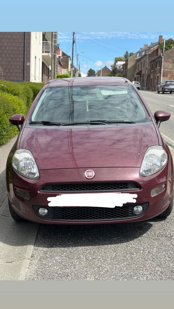 Fiat punto, Achat, Entreprise, Boîte manuelle, Autres couleurs