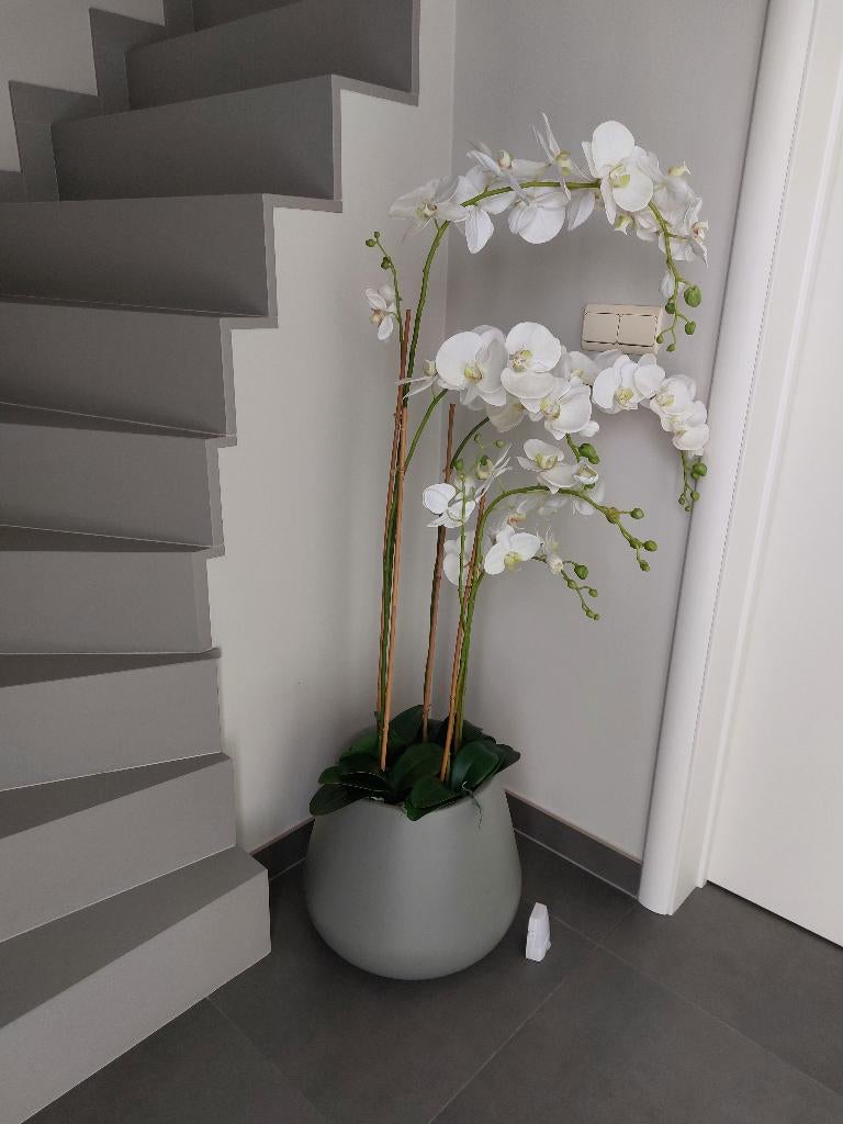 kunstorchidee wit met bijhorende grijze pot, Huis en Inrichting, Ophalen, Binnen, Kunstbloem, Emerald Eternal Green