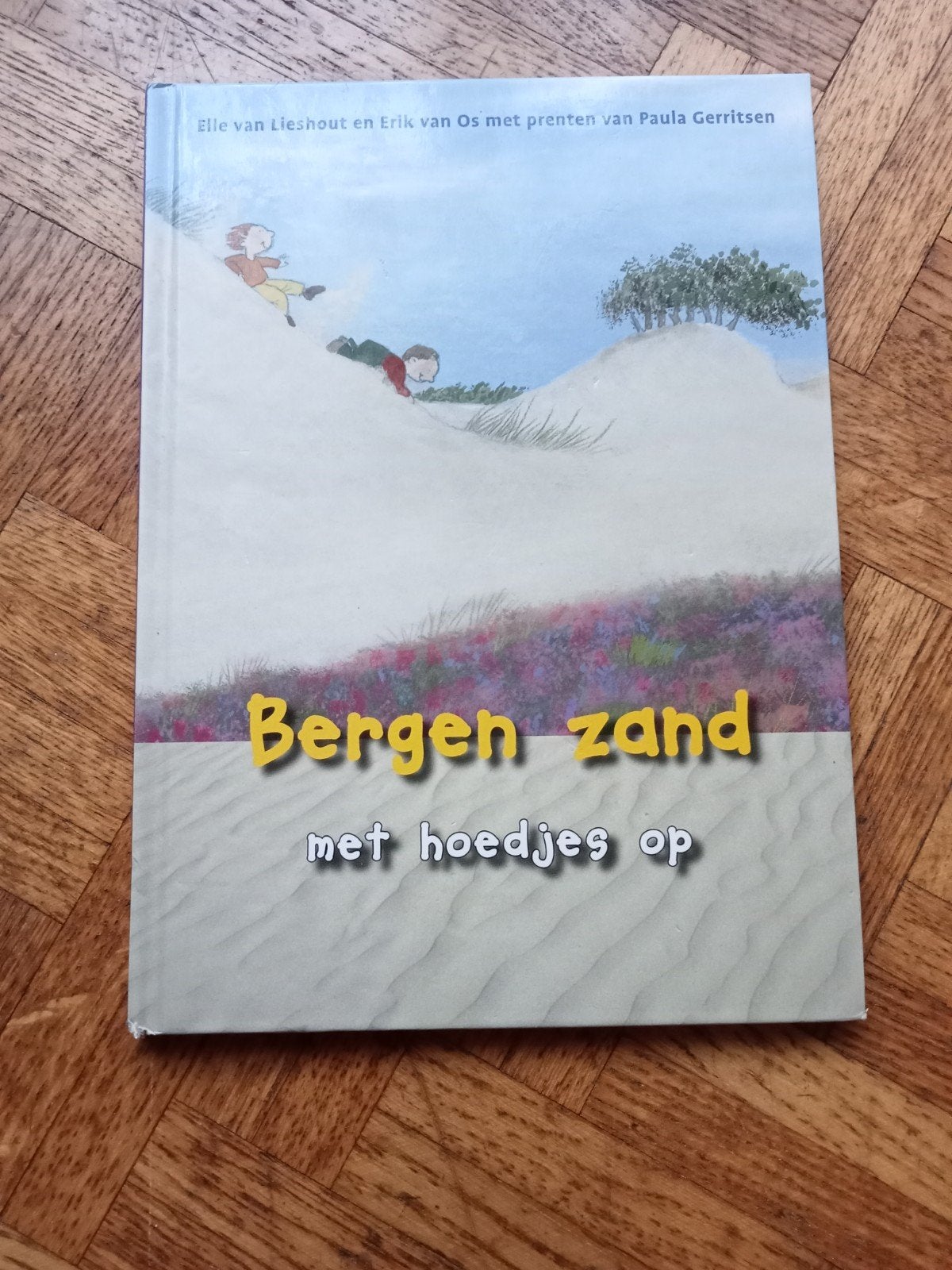 Bergen zand met hoedjes op, Boeken, Ophalen of Verzenden, Gelezen