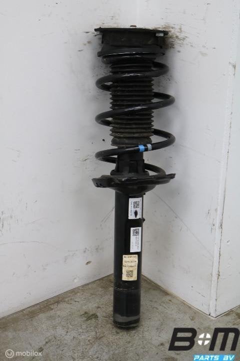 Veerpoot voorzijde kan L en R VW Golf 8 5WA41031AT, Utilisé