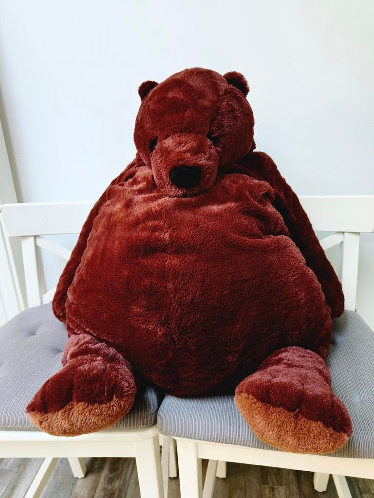 Grote bruine knuffel, Enlèvement