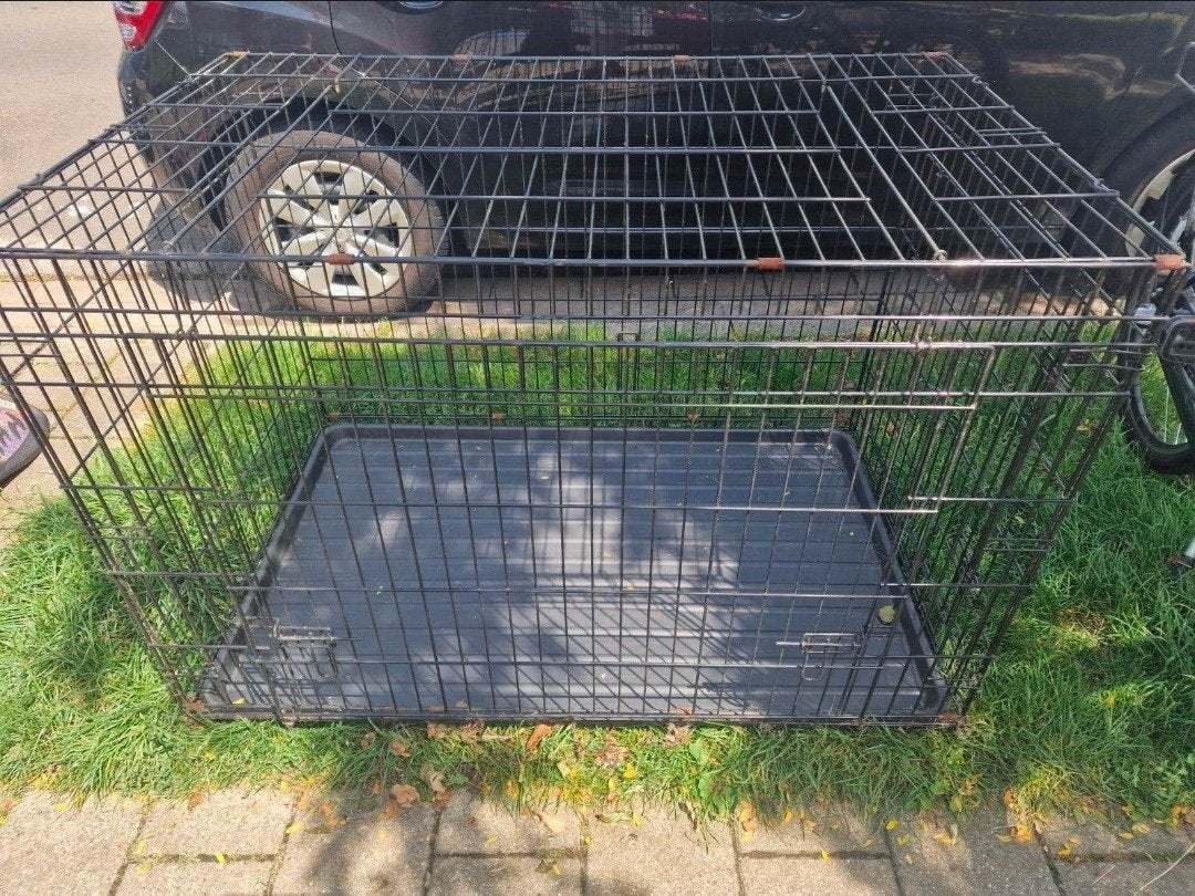 hondenbenche, Dieren en Toebehoren, Ophalen