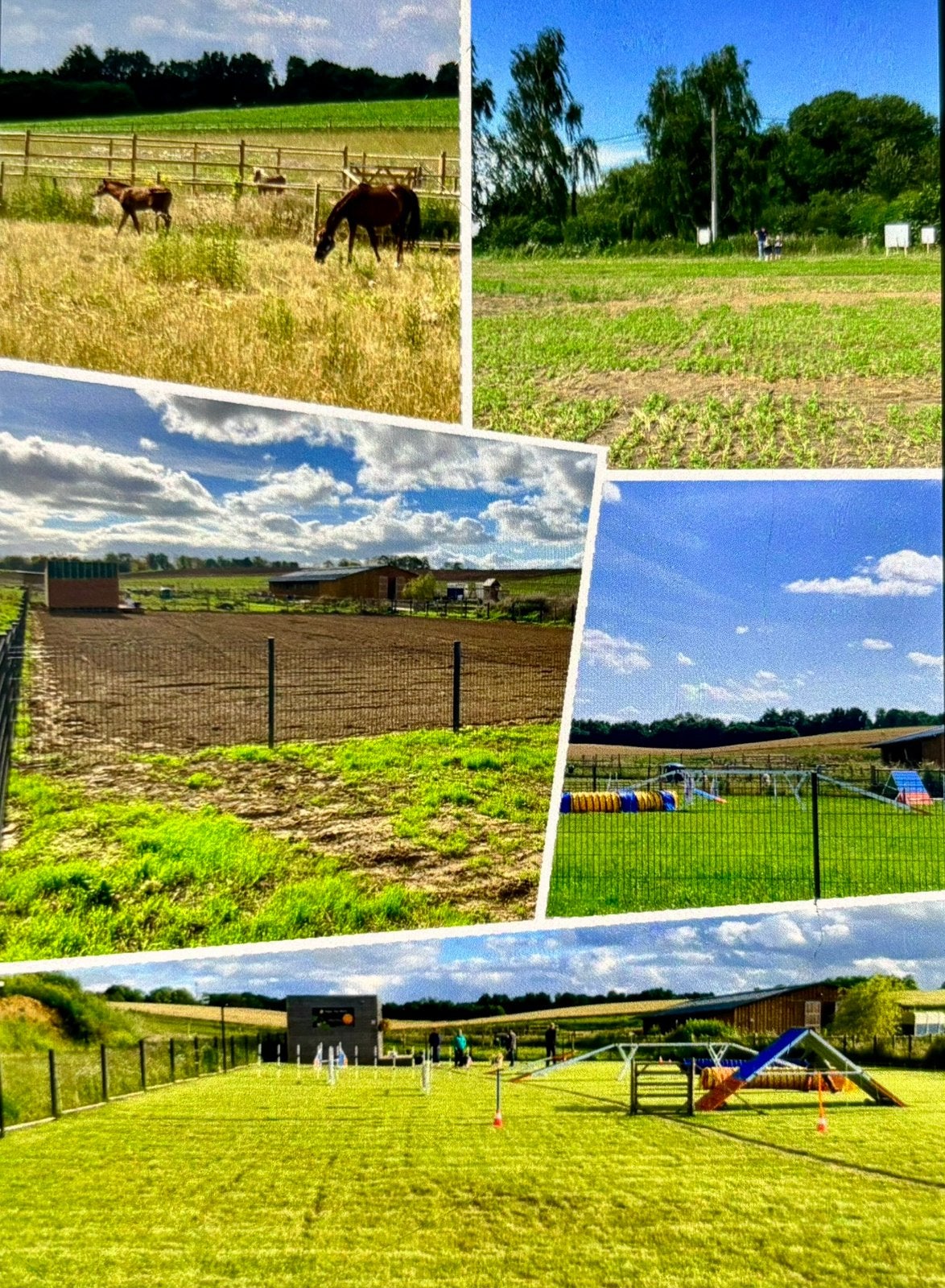 A vendre Terrain à bâtir, 1000 à 1500 m²