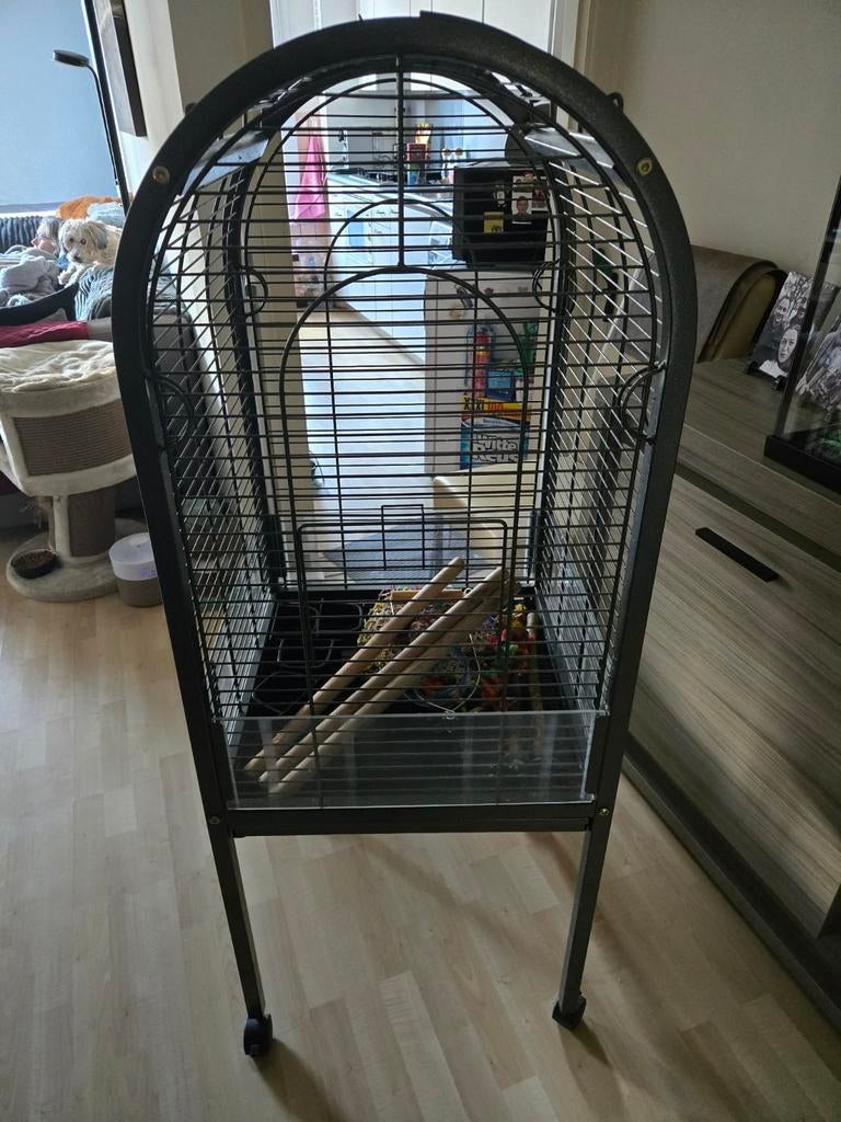 Papegaaikooi, Ophalen, Zo goed als nieuw, Metaal, Vogelkooi