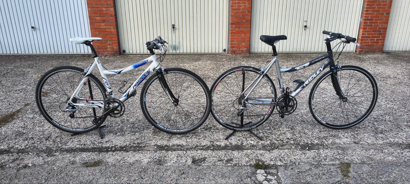 twee Ridley damesfietsen, Fietsen en Brommers, Ophalen