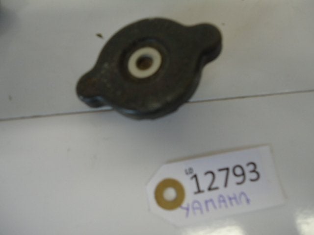 Yamaha Radiator Stop D1-20774, Motoren