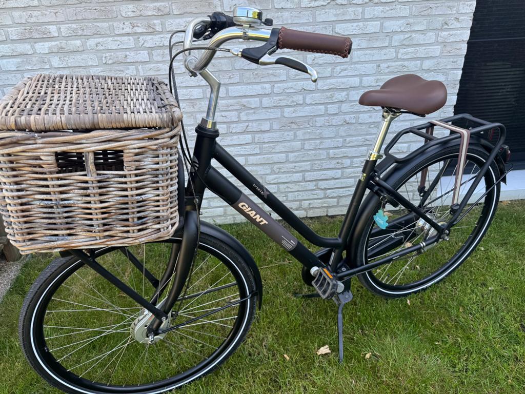 Damesfiets Giant, Vélos & Vélomoteurs, Vélos | Femmes | Vélos pour femme, Vitesses, Frein sur jante, 53 à 56 cm, Enlèvement