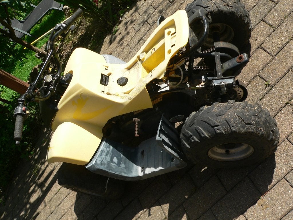 quad dinli dino enfant