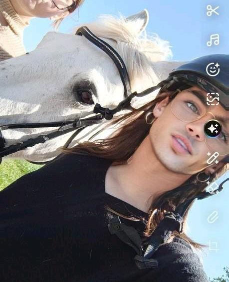 Halve stal/ paard gezocht., Animaux & Accessoires, Chevaux