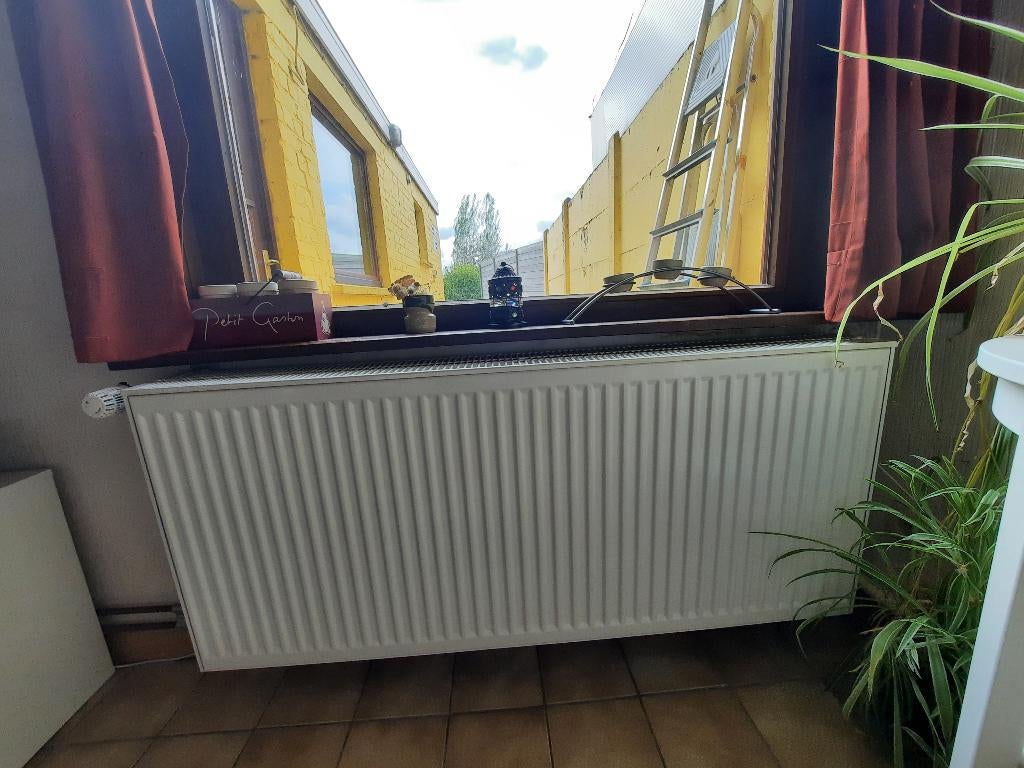 Radiator + thermostatische kraan, Enlèvement, Utilisé, Radiateur, 30 à 80 cm