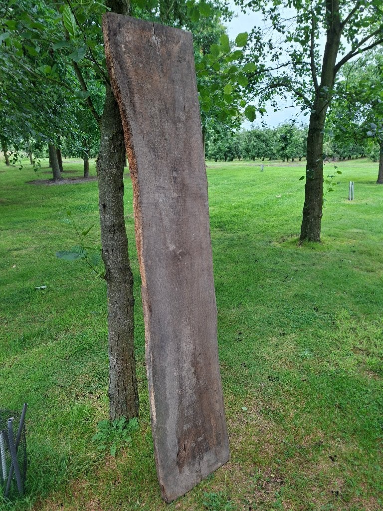 Eik, Doe-het-zelf en Bouw, Hout en Planken, Ophalen, Gebruikt, Eiken, 200 tot 250 cm
